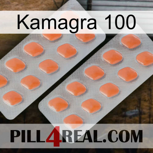 Kamagra 100 27